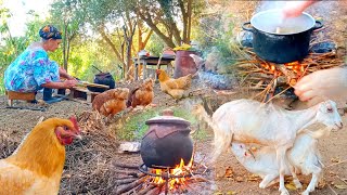 Algerian rural woman, Living in the countryside and cooking on wood