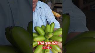 Một nãi 33 trái quá dữ #shorts BD84vlog