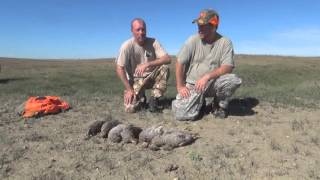 Best Grouse and Prairie Chicken Hunting