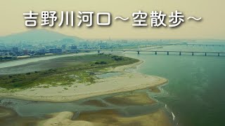 吉野川河口〜空散歩〜（徳島市）｜Mouth of the Yoshinogawa River by Drone