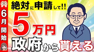 【６月開始】政府からの5万円の給付金！申請方法や支給対象者について解説【定額減税/調整給付金/不足額給付金/年金生活者】