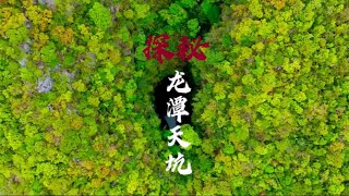 天坑龙潭底下真的有神鱼吗？竟然发现千年金丝楠阴沉木.回想起在水潭深处的遭遇现在还历历在目