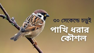 ৩০ সেকেন্ডে চড়ুই পাখি ধরার কৌশল.