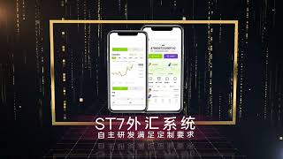 飓风团队-全球老牌搭建商为您提供正版MT5白标，ST5系统，FX6系统及加密货币交换机搭建。一站式服务，独立开发搭建，专享技术客服对接。