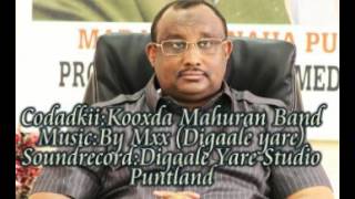 Hees cusub oo ka hadlaysa wax Qabadka Madaxweyne Cabdi Wali Gaas