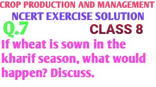 If wheat is sown in the kharif season, what would happen? Discuss.