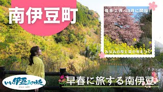 【いい伊豆】早春に旅する南伊豆　前編