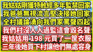 我姑姑剛獲特赦經多年監禁回家，我爸爸無視流言堅決接她回家，全村議論湧向我們家罵聲四起：我們村沒人入過