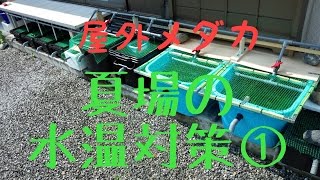 【屋外メダカ】　夏場の水温対策 Part1 　容器の色や水深が水温にどの程度影響するのか測定してみる