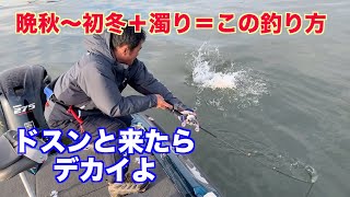 この時期に濁りが入れば、この釣り方 !! 来たらデカイよ !!【琵琶湖バス釣り】