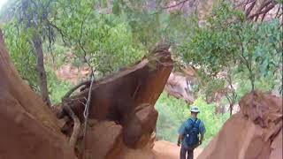 Emerald Pools at Zion National Park - Explore!