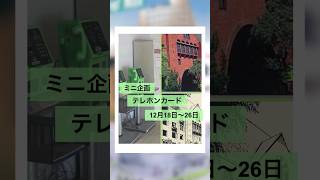 S子と行く！ ミニ企画展！テレホンカード ＃Shorts ＃不倒館 ＃近畿大学