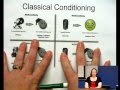 Classical Conditioning - Some Example with Dr Z