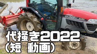 我が家の代掻き2022