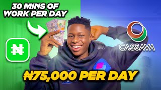 How to Make Money Online in Nigeria 2023 (Make 75,000 Naira Per Day With No Capital or Investment)