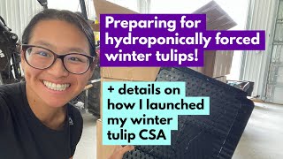 Preparing for hydroponically forced winter tulips! + Details on how I launched my winter tulip CSA