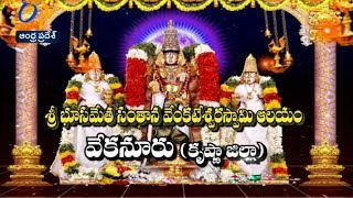 Sri Santana Venkateswara Swami Temple | Vekanuru | Teerthayatra | 27th May 2017 | Full Episode