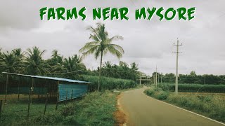 Exploring Farm Lands and Villages near Mysore  - Road Trip | Cinematic Vlog 4K