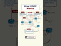 How OSPF Works in Networking | CCNA & CCNP Must-Know Routing Protocol Explained