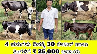 4 ಹಸುಗಳು ದಿನಕ್ಕೆ 30 ಲೀಟರ್ ಹಾಲು ತಿಂಗಳಿಗೆ  ₹ 25,000ಆದಾಯ || #cow #milk #diary #farm #agriculture #farm