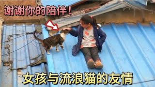 8岁小女孩与流浪猫的暖心友谊，一段相互救赎的过程，让人感动