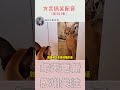 搞笑配音：长得这么帅，竟然亲不到自己的脸！