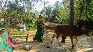 গ্রামের সাধারণ জীবন চিত্র 😍simple village cooking ♨️simple village vlog