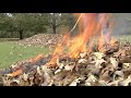 Be Careful and Follow The Law When Burning Yard Debris