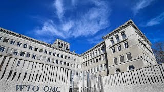 WTO to authorize China's retaliation on Sept. 21 if US doesn't object