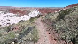 Walk-Through of the Petrified Forest National Wilderness Area Access Trail