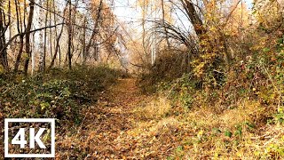 RELAXING WALK NEAR THE LAKE PRESPA [4K] Krani is a village in the Resen Municipality of Macedonia