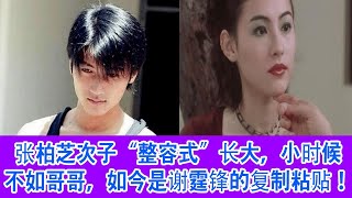 张柏芝次子“整容式”长大，小时候不如哥哥，如今是谢霆锋的复制粘贴！, 王菲女儿退学背后，是4 3亿家庭的隐痛：那是自以为是的“爱”