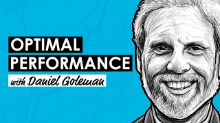 Sustainable Excellence w/ Daniel Goleman (RWH039)