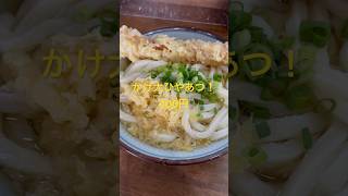 【うどん】久々の菜の家でひやあつ大！#讃岐うどん#セルフうどん#手打ちうどん #かけうどん#ひやあつ #ちくわ天#飯テロ #四国中央市 #菜の家