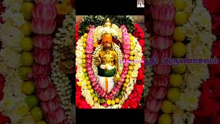 மீண்டும் மீண்டும் ஏரல் பதிக்கு நாங்கள் வருவோம்|Cherman Arunachala Swamy video-547 #ஆதிஅருணாசலம்