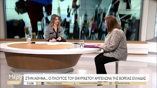 Τα ΒορΟινά ταξιδεύουν στην Αθήνα | 27/01/2023 | ΕΡΤ