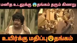 மனித உடல் கேட்கும் கிணறு😱பேய் படம்🧟‍♀️காட்டேரி(kaatteri)