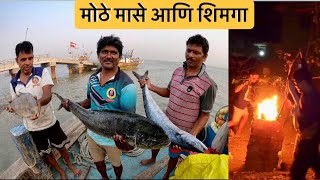 मोठे मोठे मासे घेउन खलाशी निघाले गावाला । शिमगा होळीचा सन । Leather Jacket Fish Cutting