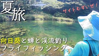 【フライフィッシング】初めてのサイトフィッシング、大きな魚に翻弄される【湯原温泉】