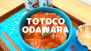 Totoco Odawara/ トトコ小田原/ Vlog/Japan/Japanese food/4K