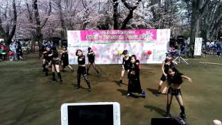 Cherry Blossom Festa 2017 ③キッズ上級