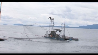 RE\u0026F Microsoft - A Day Fishing with Lummi Island Wild