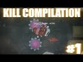 STARVE.IO - kill compilation #1