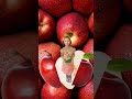 🌈You are the Apple of my eyes 🍎#surprise #fruit #shorts #shortsfeed #ytshorts #viral #trending