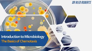 The Basics of Chemotaxis