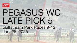 Pegasus World Cup Late Pick 5 | January 25, 2024