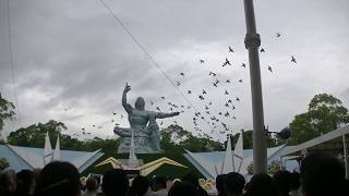 今年の鳩　長崎市・平和公園　72th.祈念式典　20170809 111430