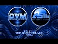 djs vibe the beautiful mix 2024 aurosonic