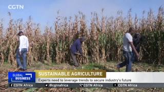 Sustainable Agriculture: Experts need to leverage trends to secure industry's future