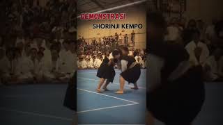 Demonstration of Embu Shorinji Kempo #01|| 少林寺拳法 ‼️